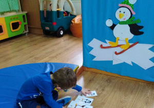 Chłopczyk układa według wielkości ilustracje pingwinka.